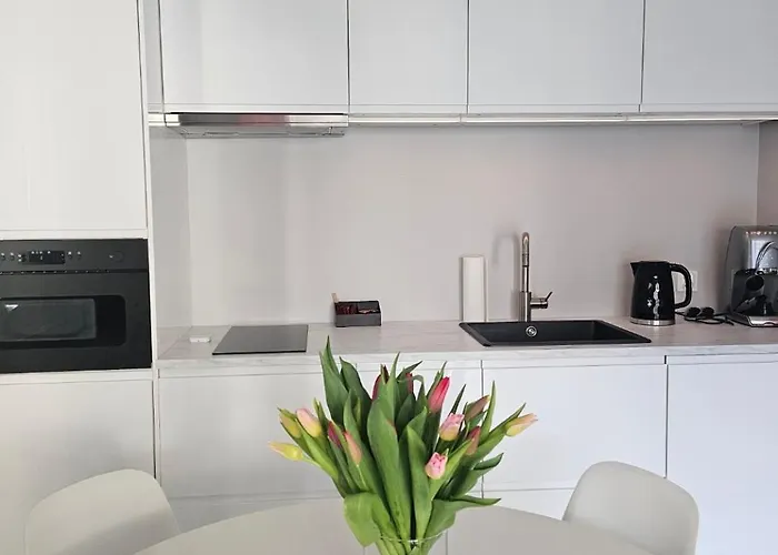 Apartment Center Zwierzyniecka Centrum, Targi, Mtp 24h Self Check-in, Parking Posen