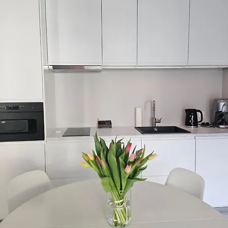 Apartment Center Zwierzyniecka Centrum, Targi, Mtp 24h Self Check-in, Parking Poznan