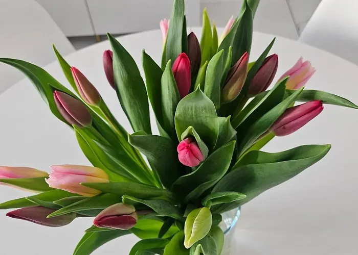 Center Zwierzyniecka Centrum, Targi, Mtp 24h Self Check-in, Parking *